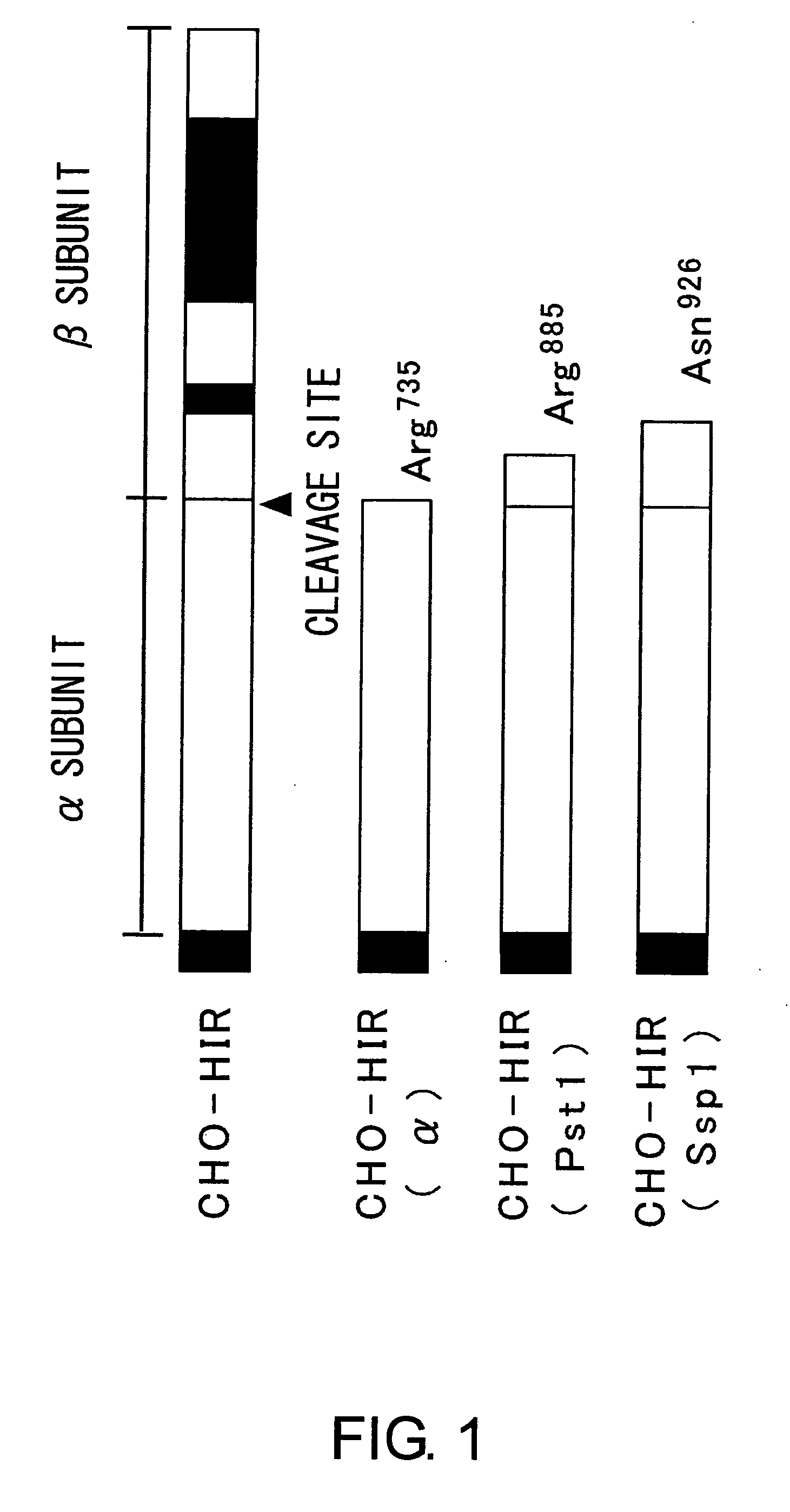 Methods for measuring the insulin receptor alpha subunit