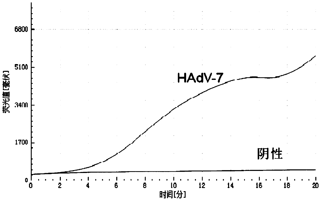 Amplification method of internal reference containing double isothermal nucleic acid for rapidly detecting type-7 adenovirus