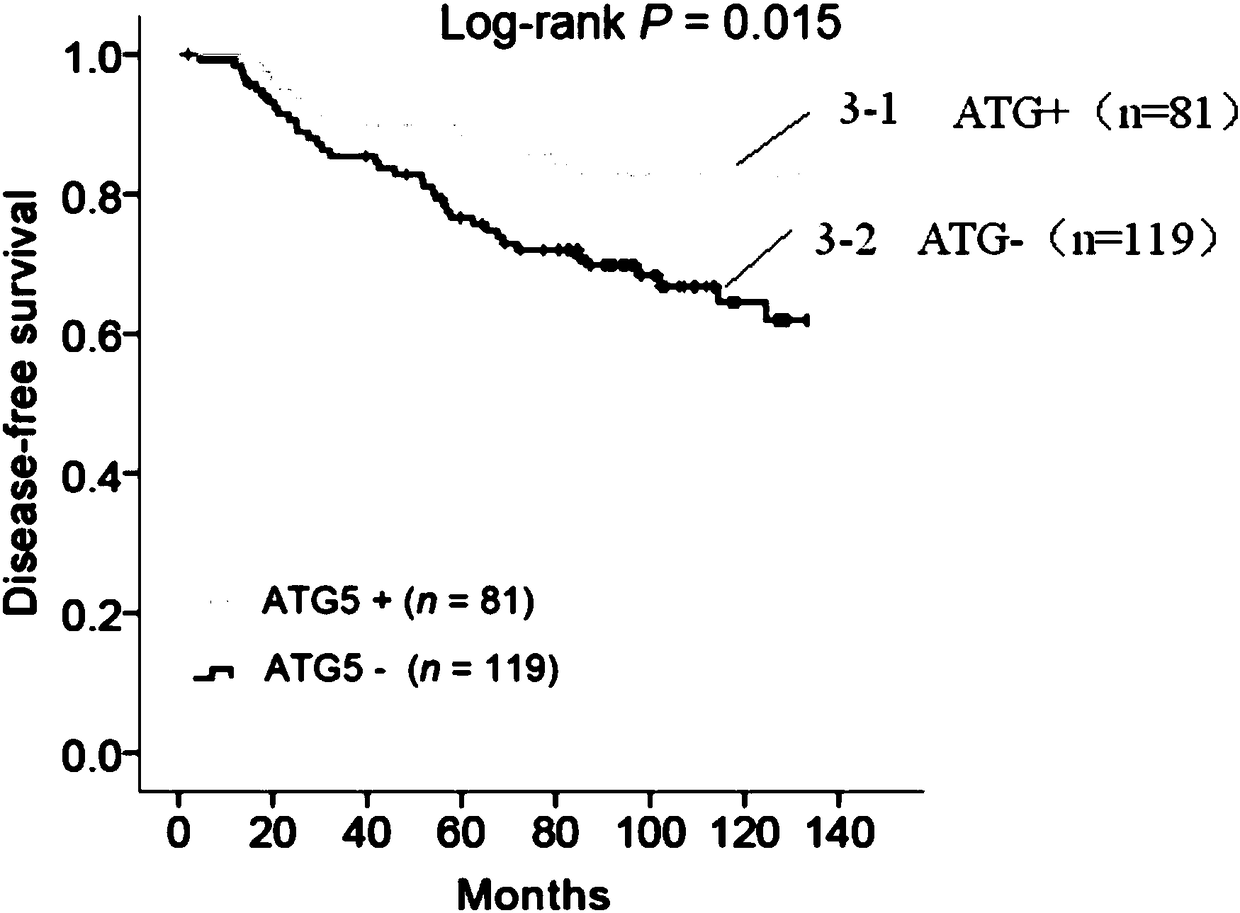 Proteins for breast cancer risk assessment and application thereof