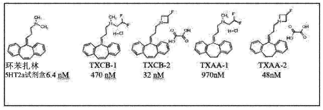 Analogs of cyclobenzaprine and amitryptilene