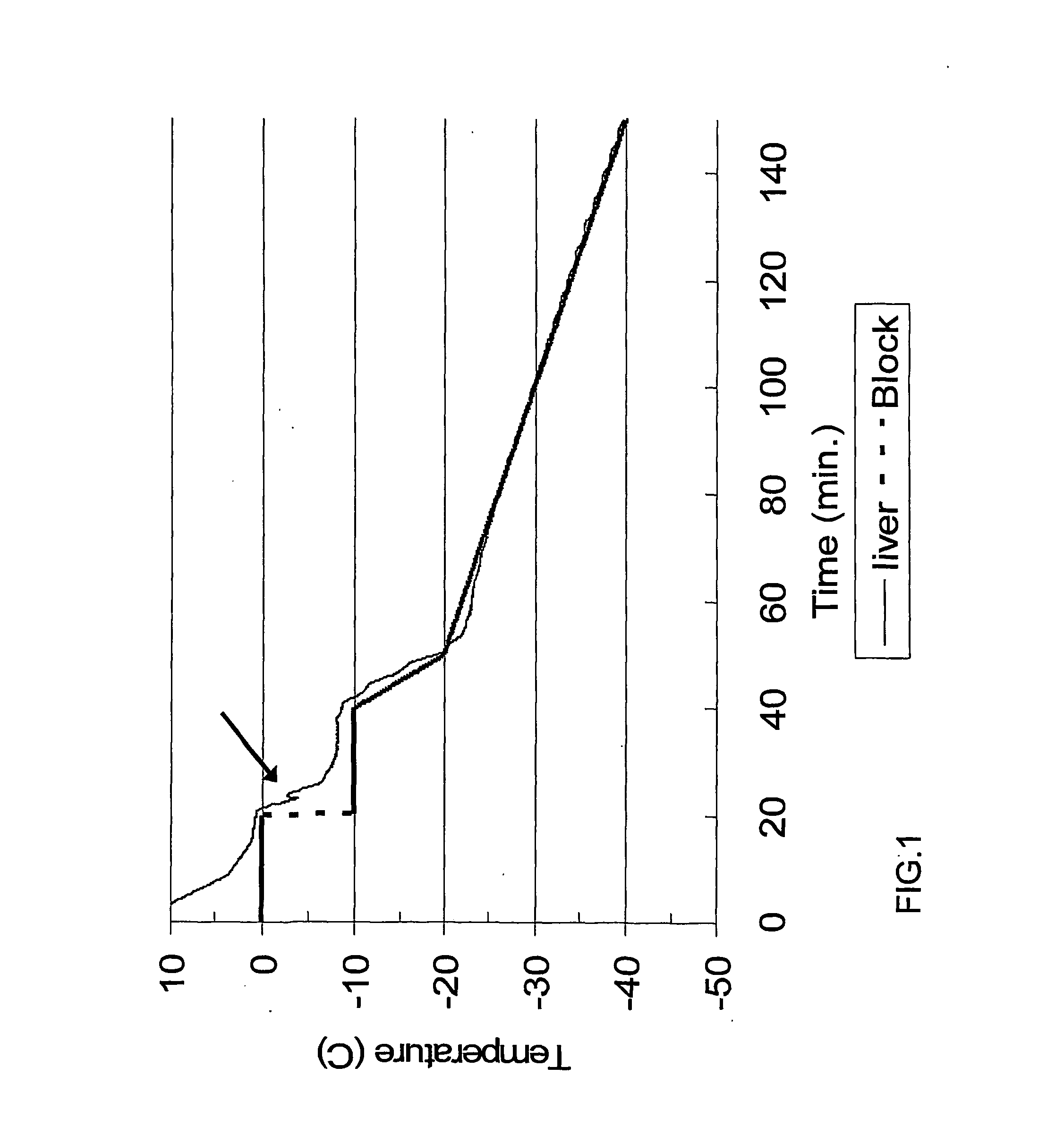 Frozen Viable Solid Organs and Method for Freezing Same