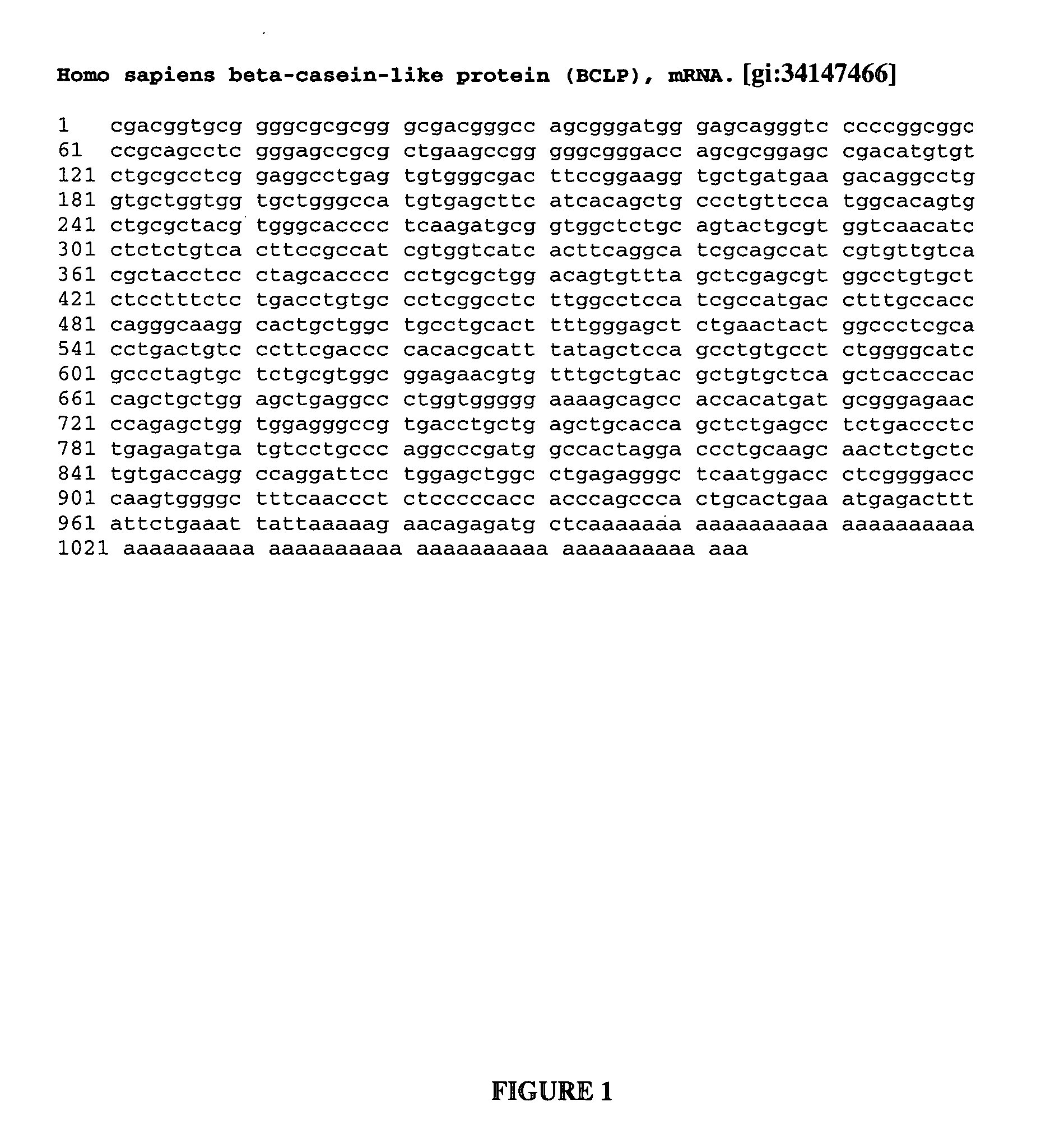 Methods of therapy and diagnosis using targeting of cells that express BCLP polypeptides