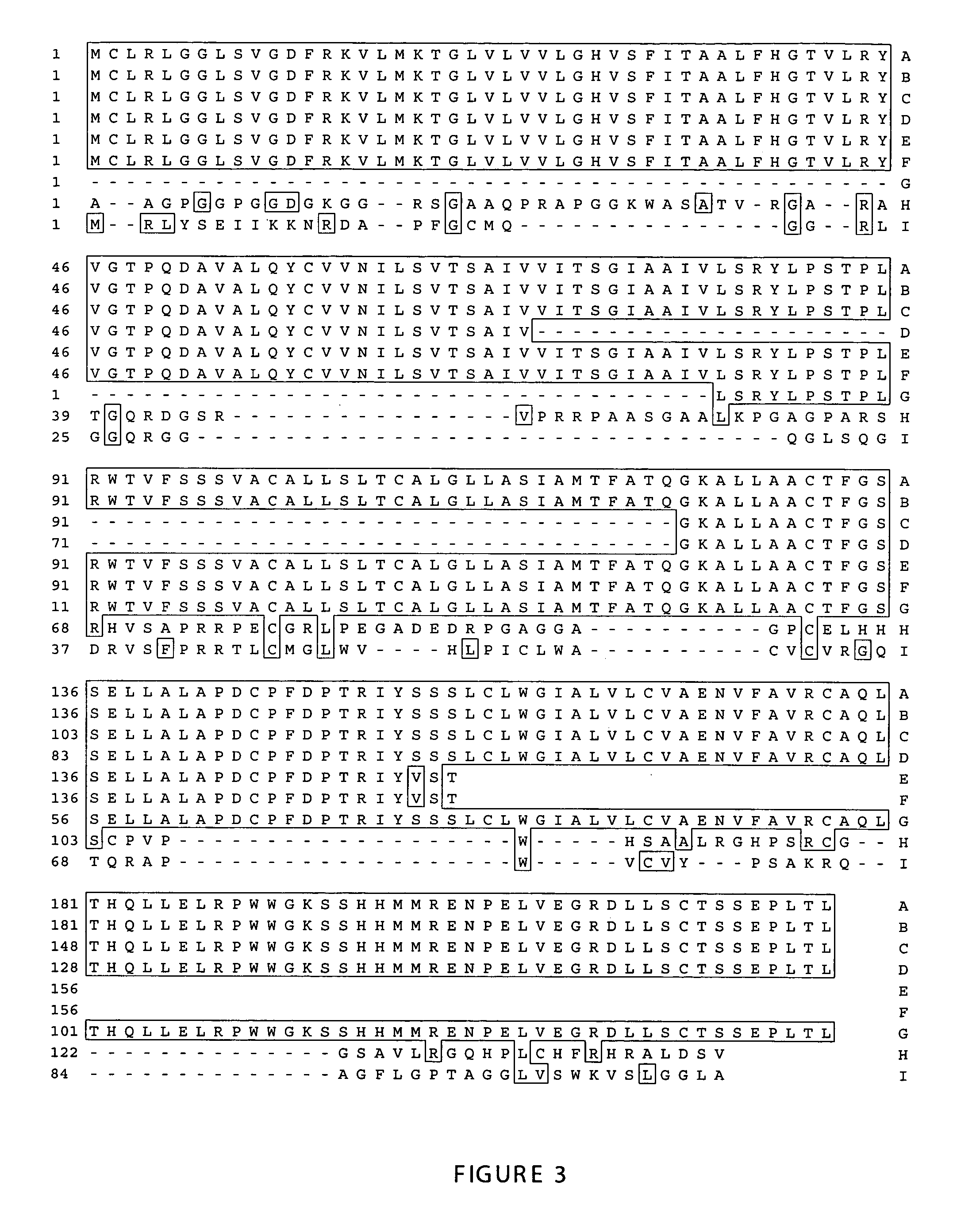 Methods of therapy and diagnosis using targeting of cells that express BCLP polypeptides