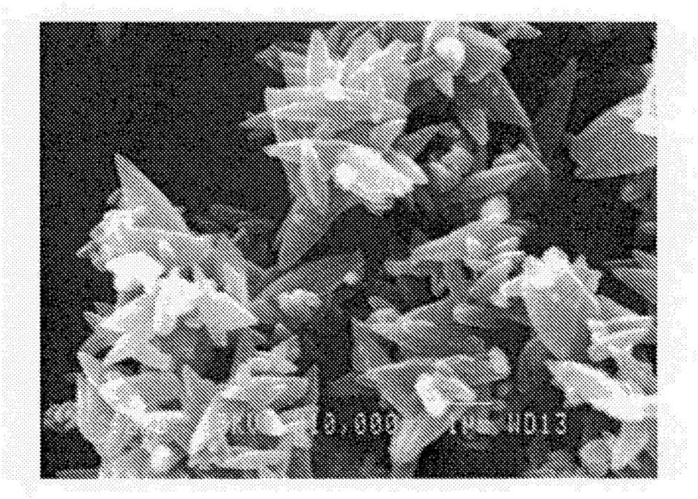 Paper filled with rosette-type precipitated calcium carbonate