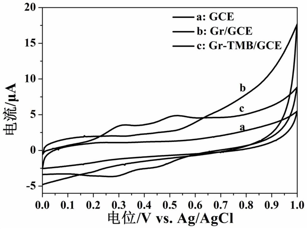 A working electrode and electrochemical sensor for selective detection of silver ions