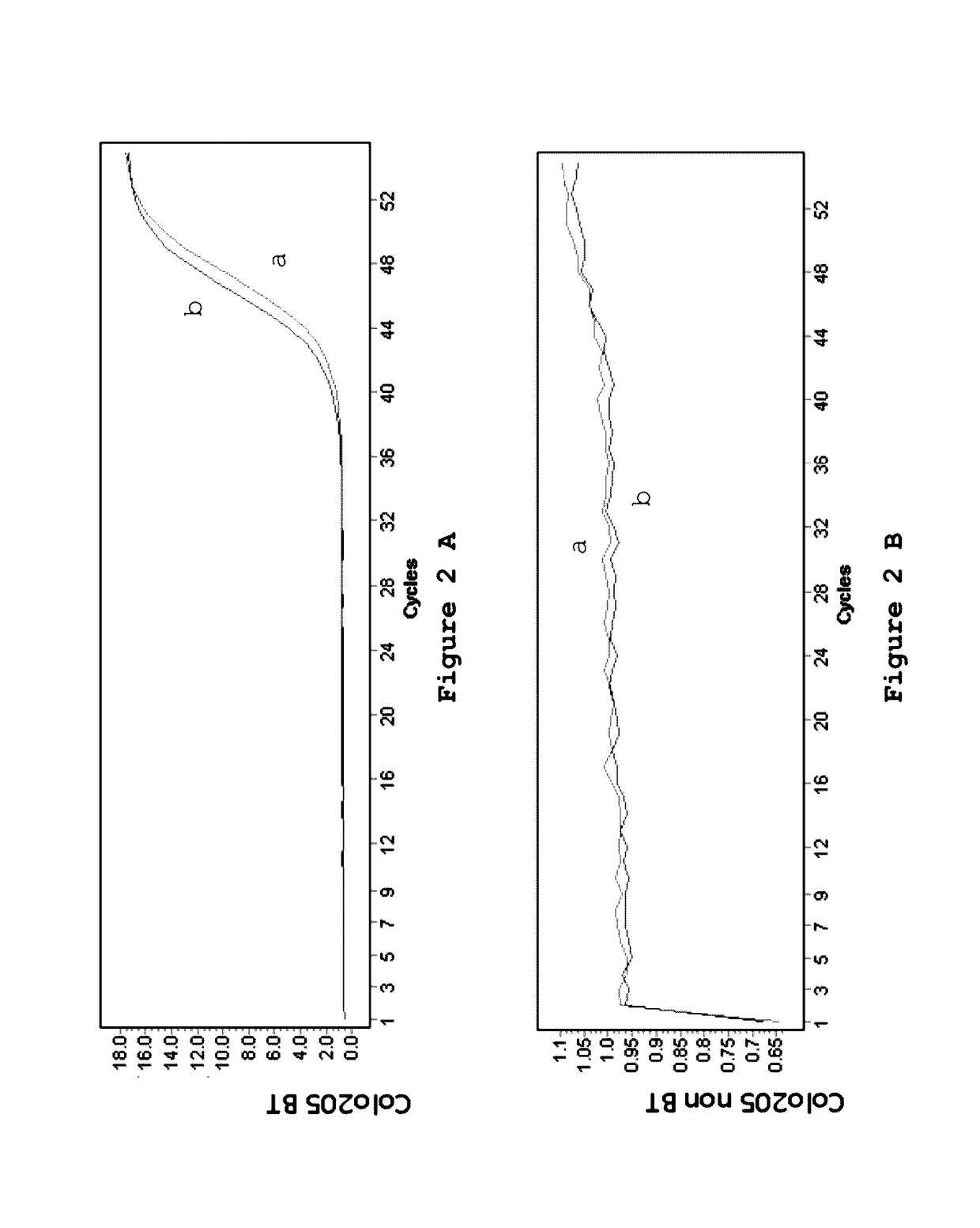 Methods of detecting mutations in BRAF and epigenetic changes