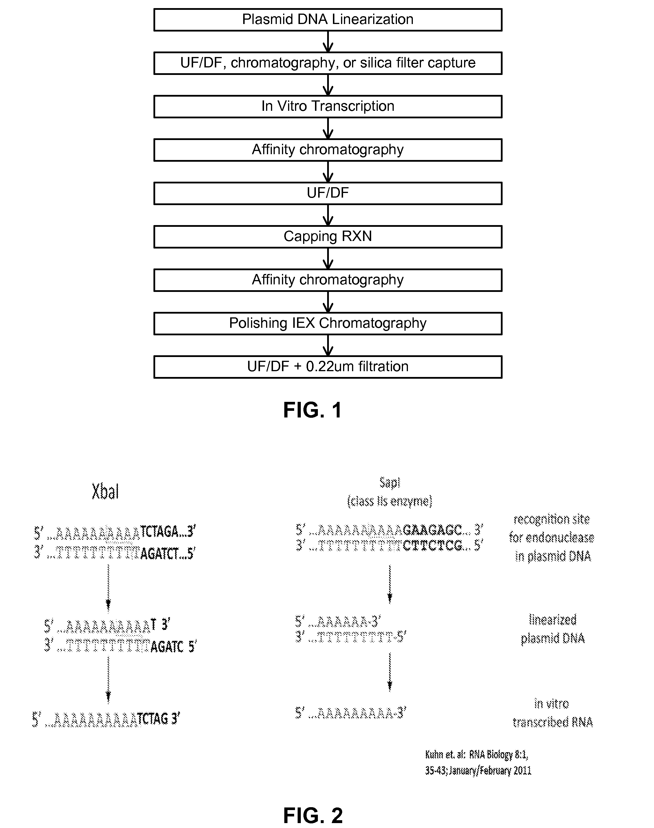 Manufacturing methods for production of RNA transcripts