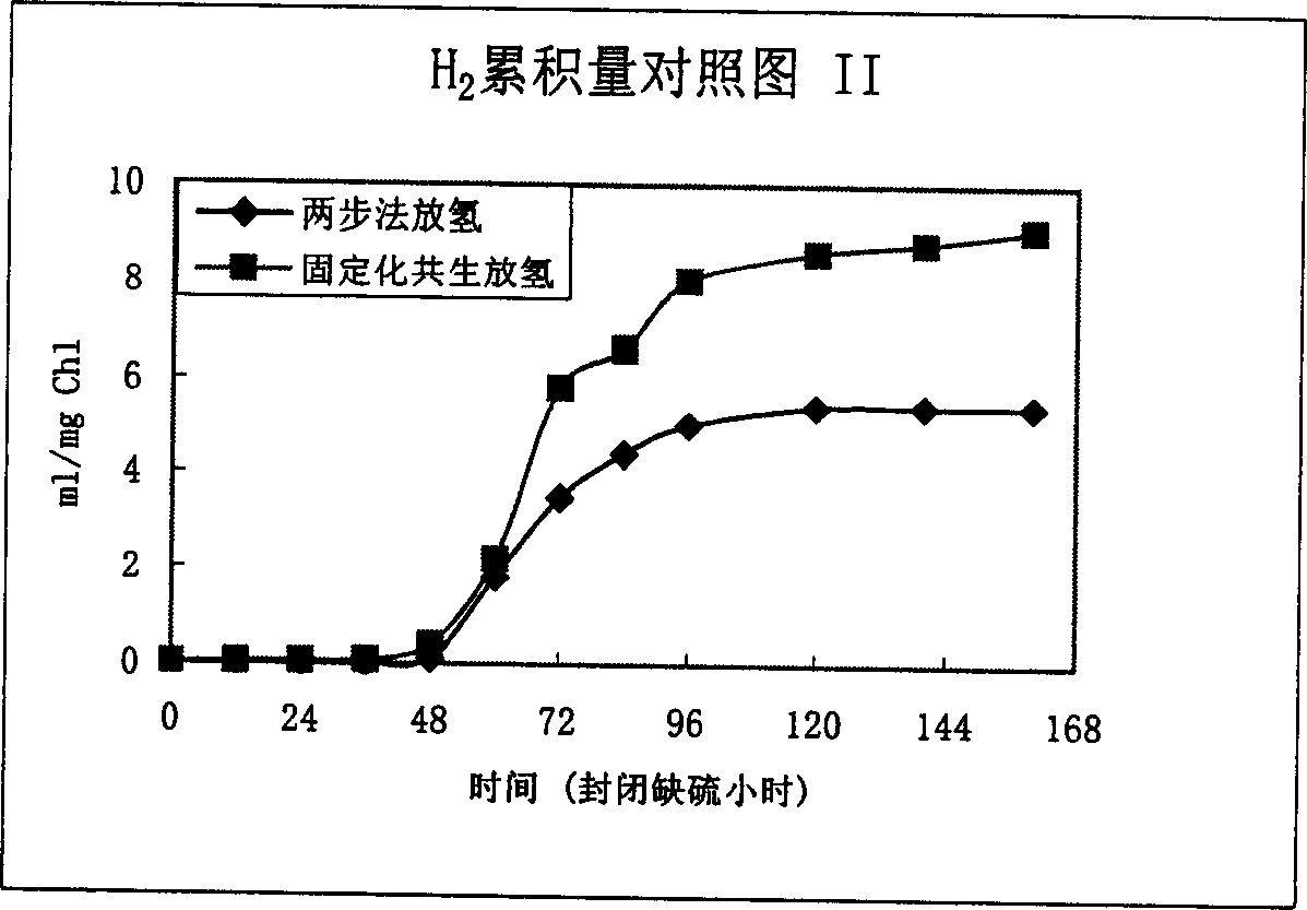 Method of increasing hydrogen releasing efficient of chlamydomonas