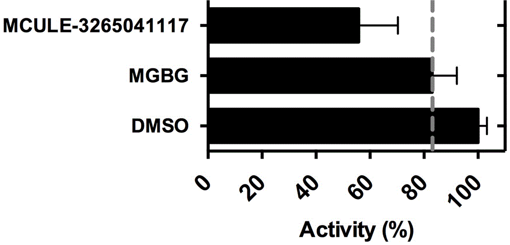 Application of small-molecule covalent inhibitor in preparing medicine for inhibiting S-adenosylmethionine decarboxylase and screening method of small-molecule covalent inhibitor