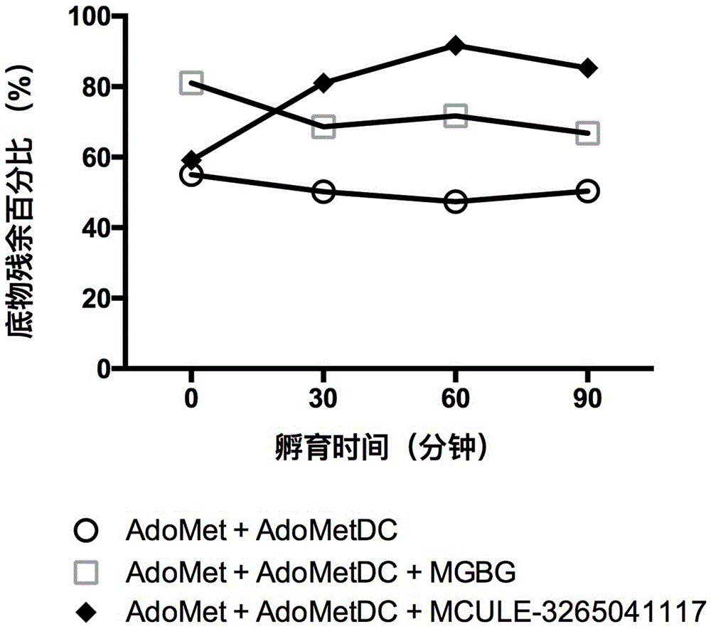 Application of small-molecule covalent inhibitor in preparing medicine for inhibiting S-adenosylmethionine decarboxylase and screening method of small-molecule covalent inhibitor