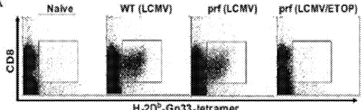 Compositions and methods for treating disease states associated with activated t cells and/or b cells