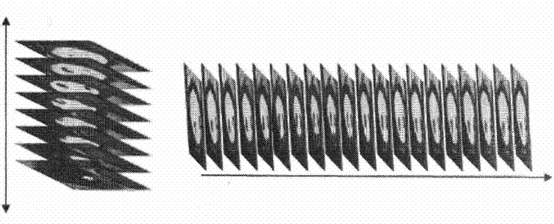 Method for fully-automatically segmenting and quantifying left ventricle of cardiac magnetic resonance image