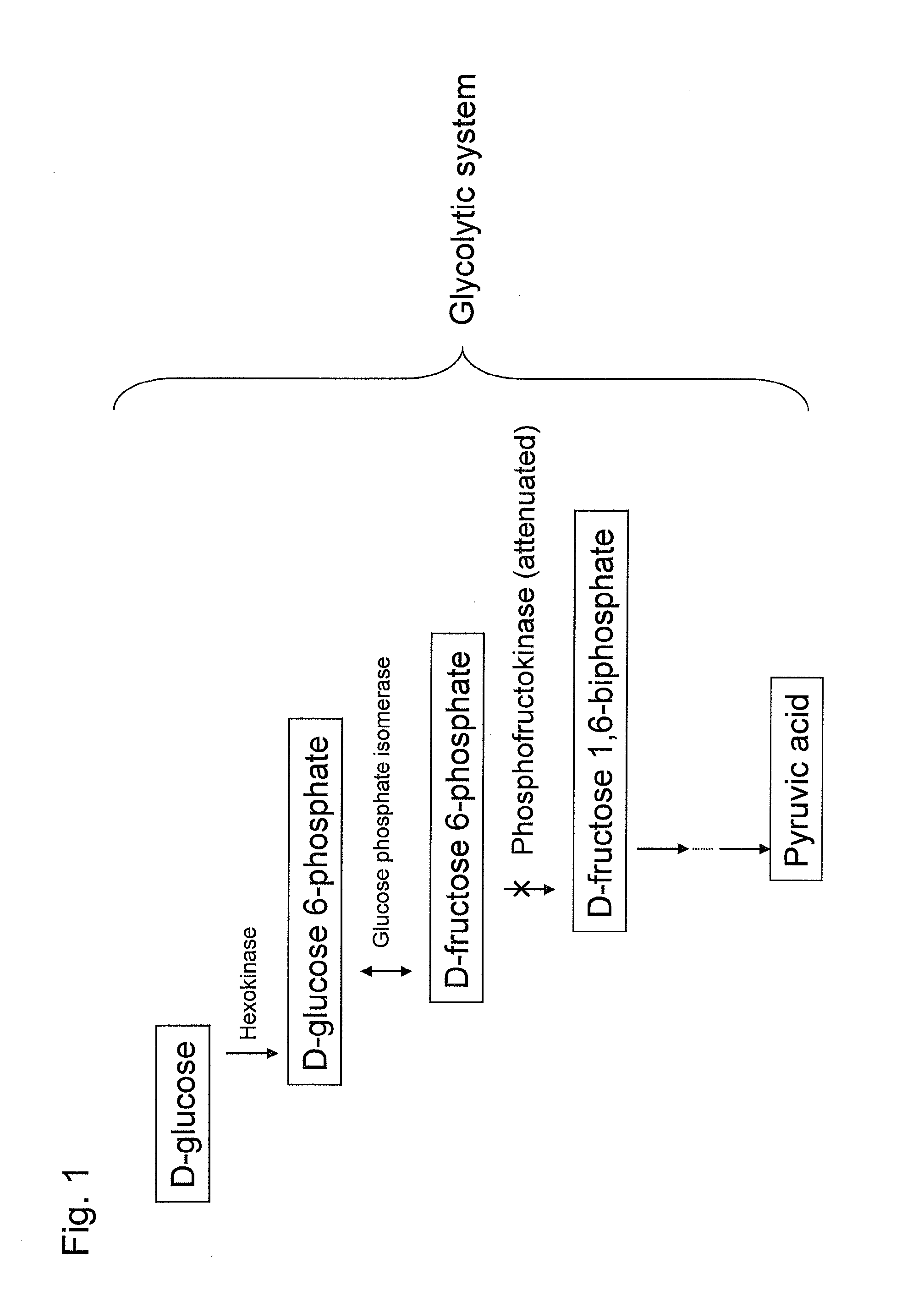 Recombinant yeast and substance production method using the same
