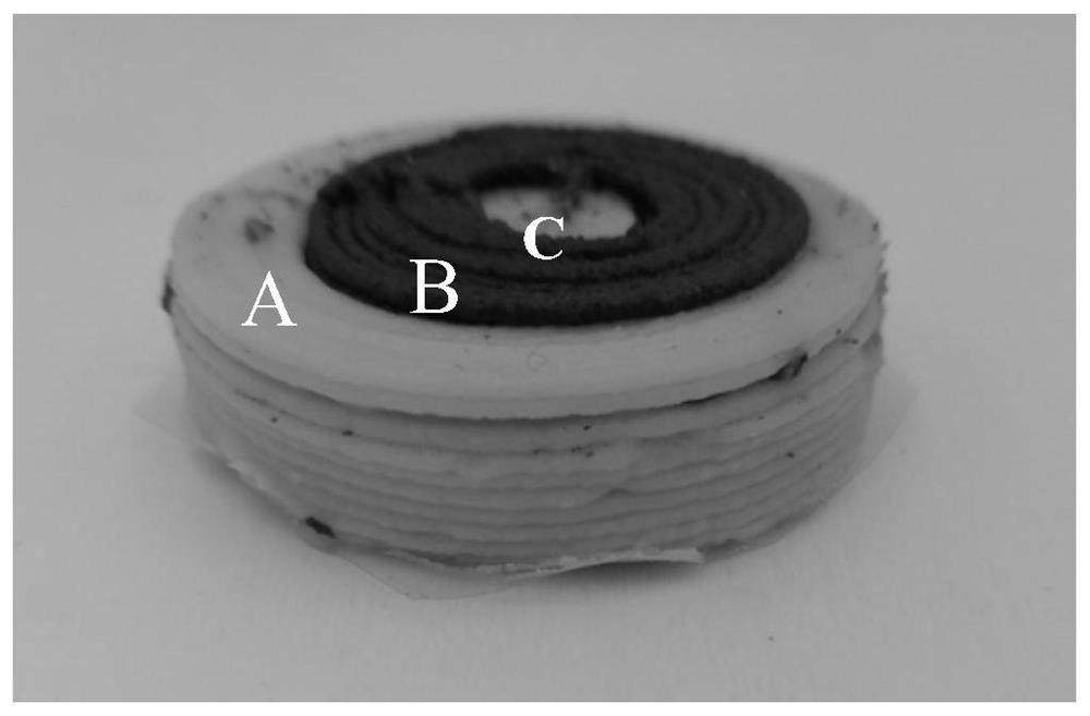 Method for preparing functional fish leisure food through 3D printing