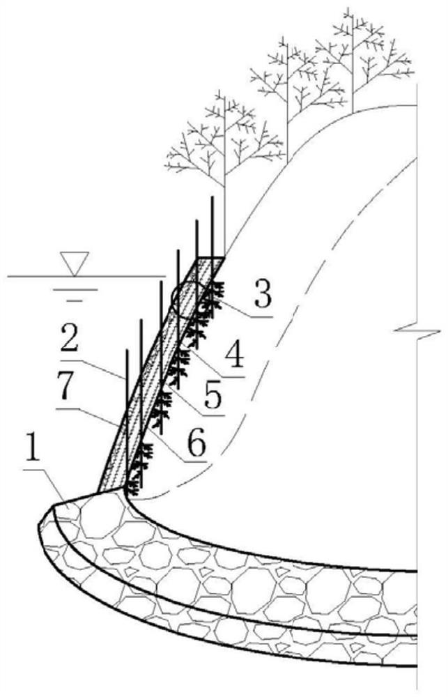 Treatment method for underwater slope in vegetation dense area