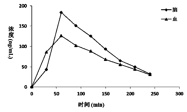 Synchronous analysis method for trace nicotine in blood-brain samples of animal and main metabolites thereof