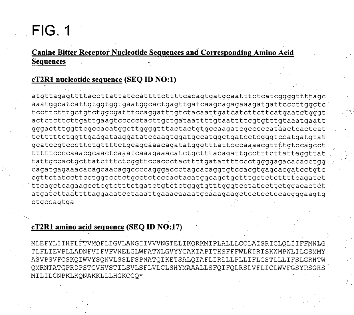 Screening methods using canine t2r receptors and pet food products and compositions identified using the same