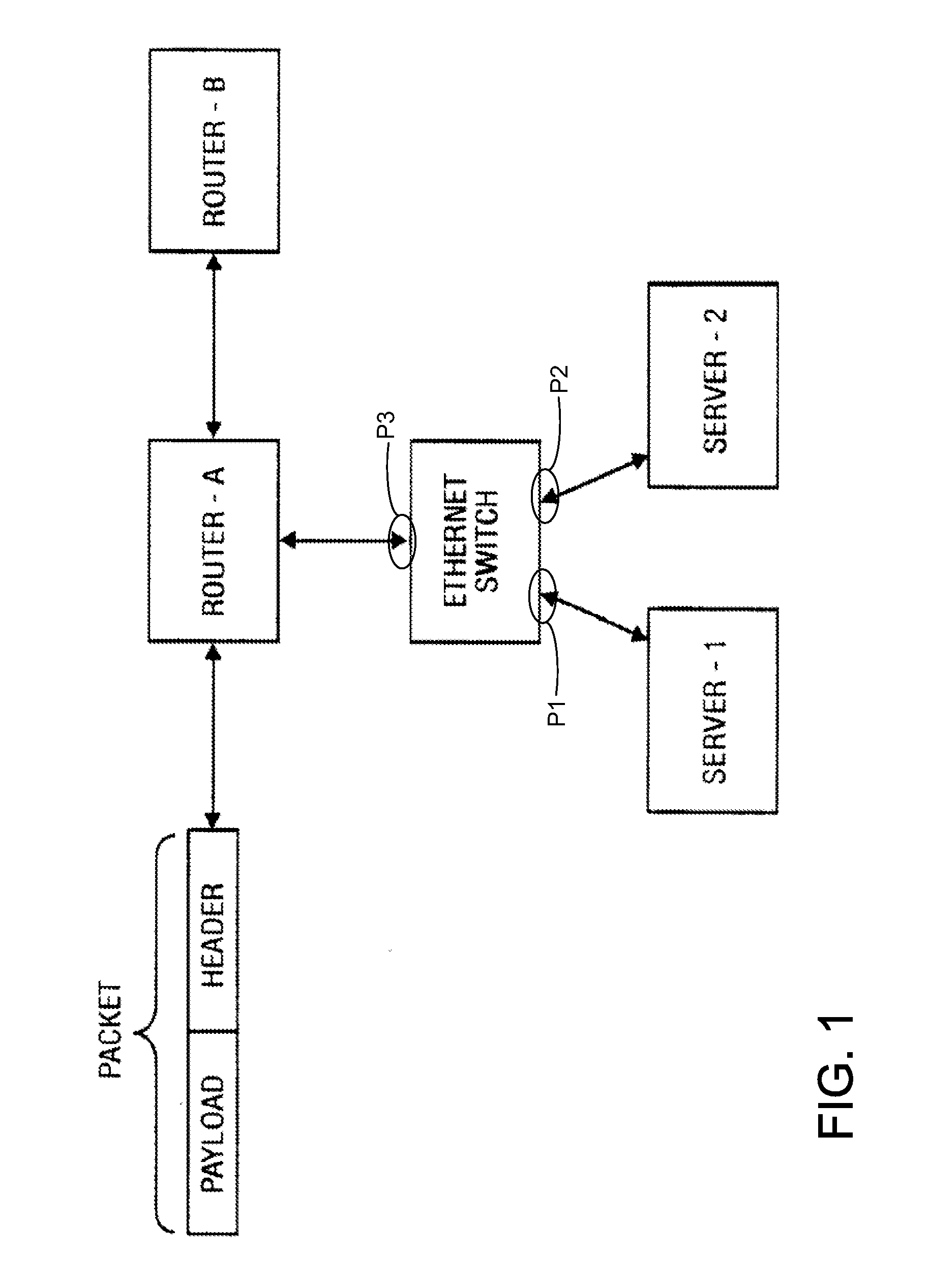 Hybrid data plane forwarding