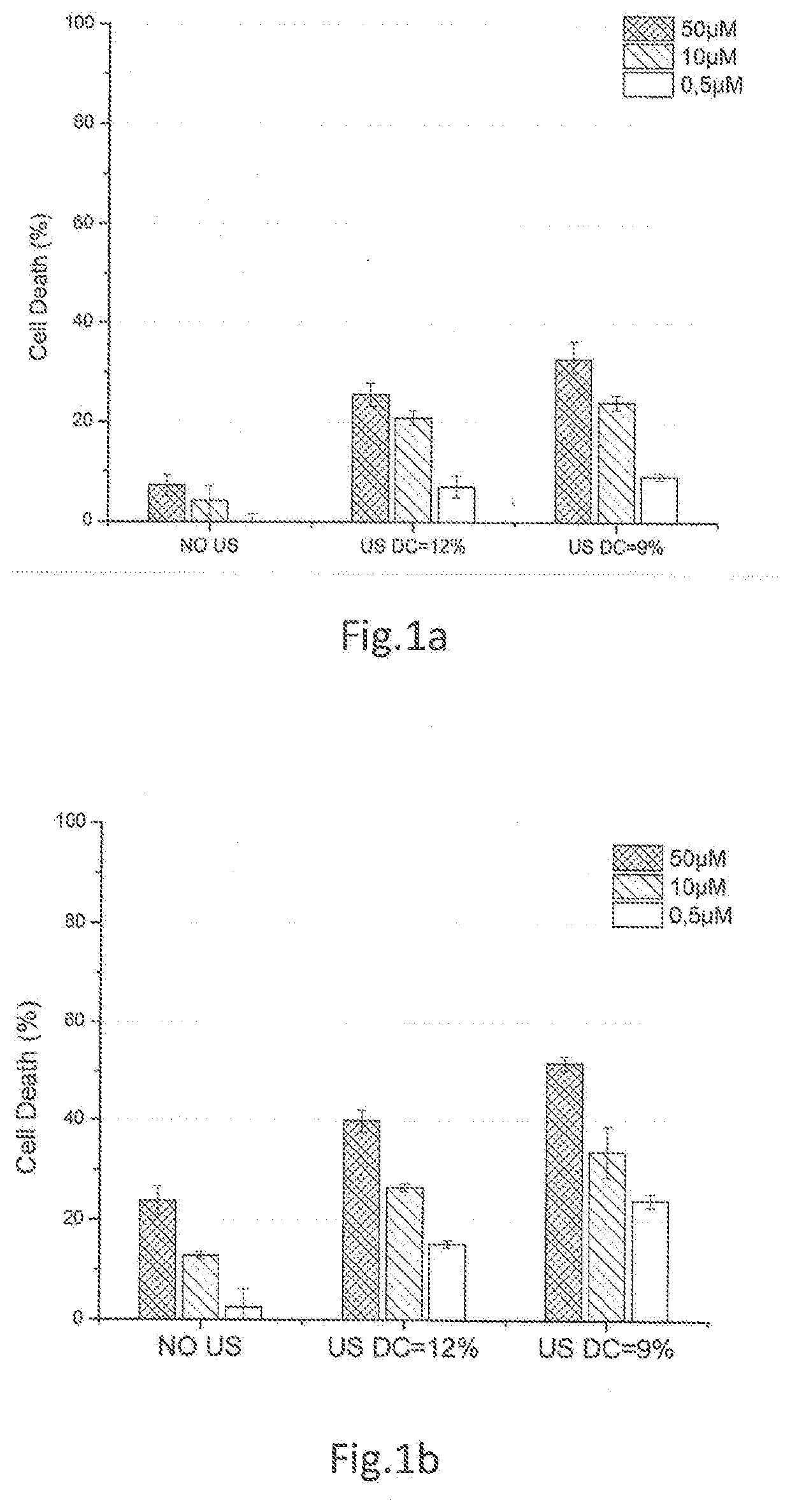 System for inducing sonoporation of a drug into cancer cells and method thereof