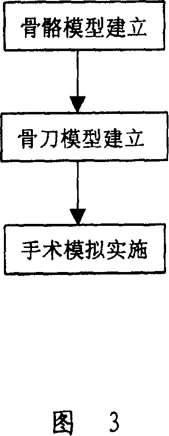 Establishing method of 3D interacting model of human skeleton unknown body and its use