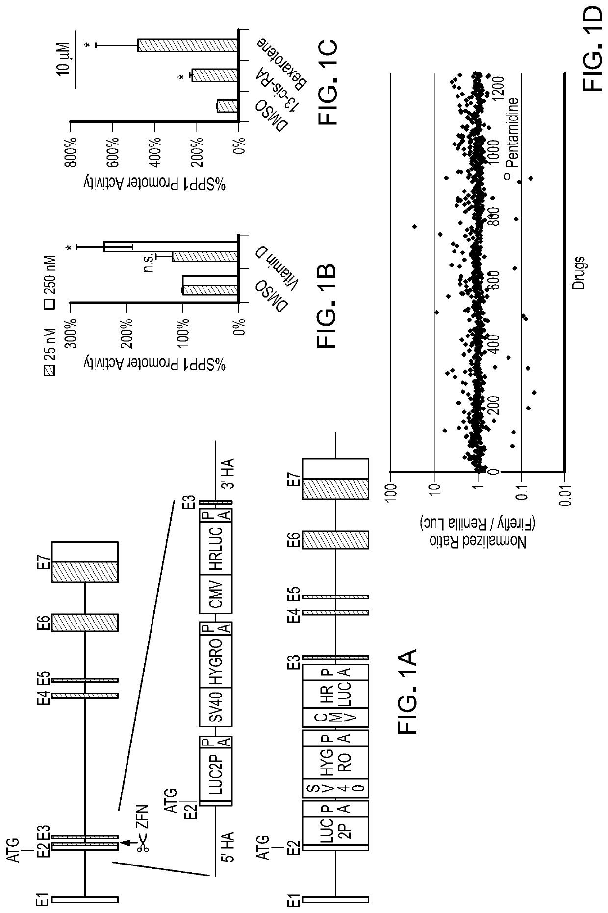 Methods and materials for reducing scar formation during wound healing