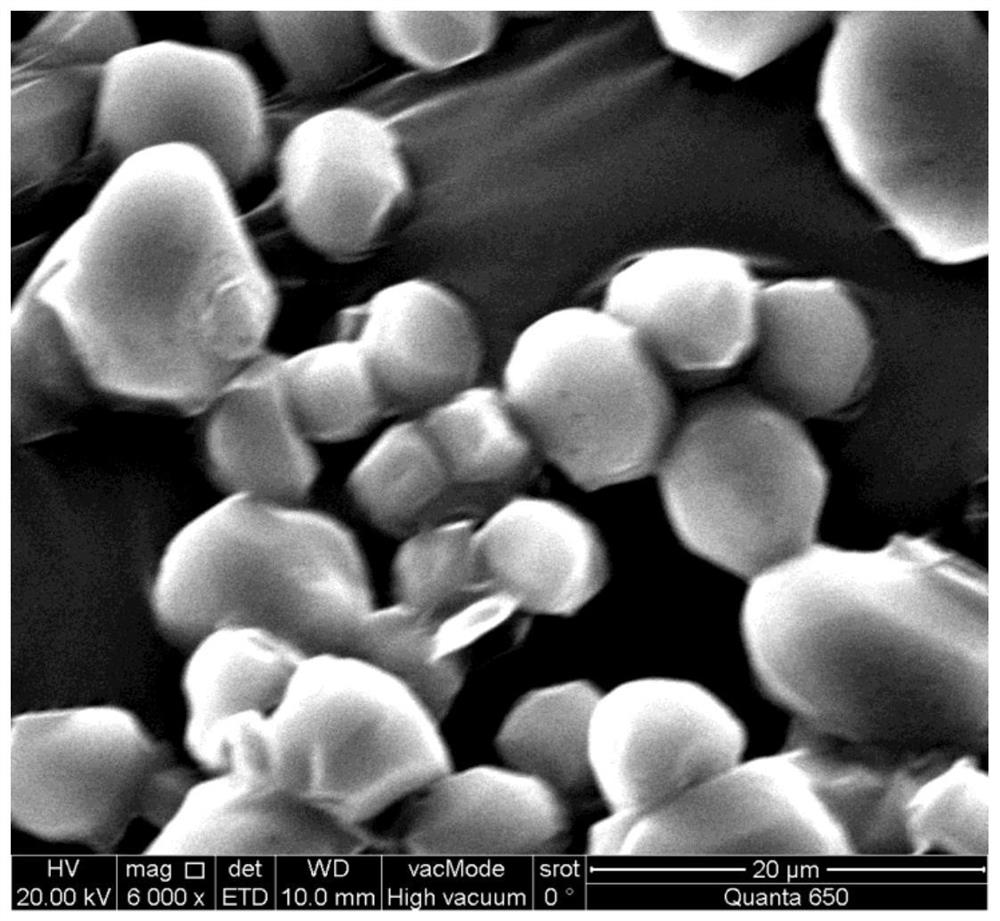 A kind of spherical adn particle, preparation method and application thereof