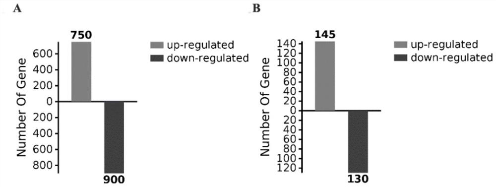 Biomarker for evaluating zinc nutrition state of individual and application thereof
