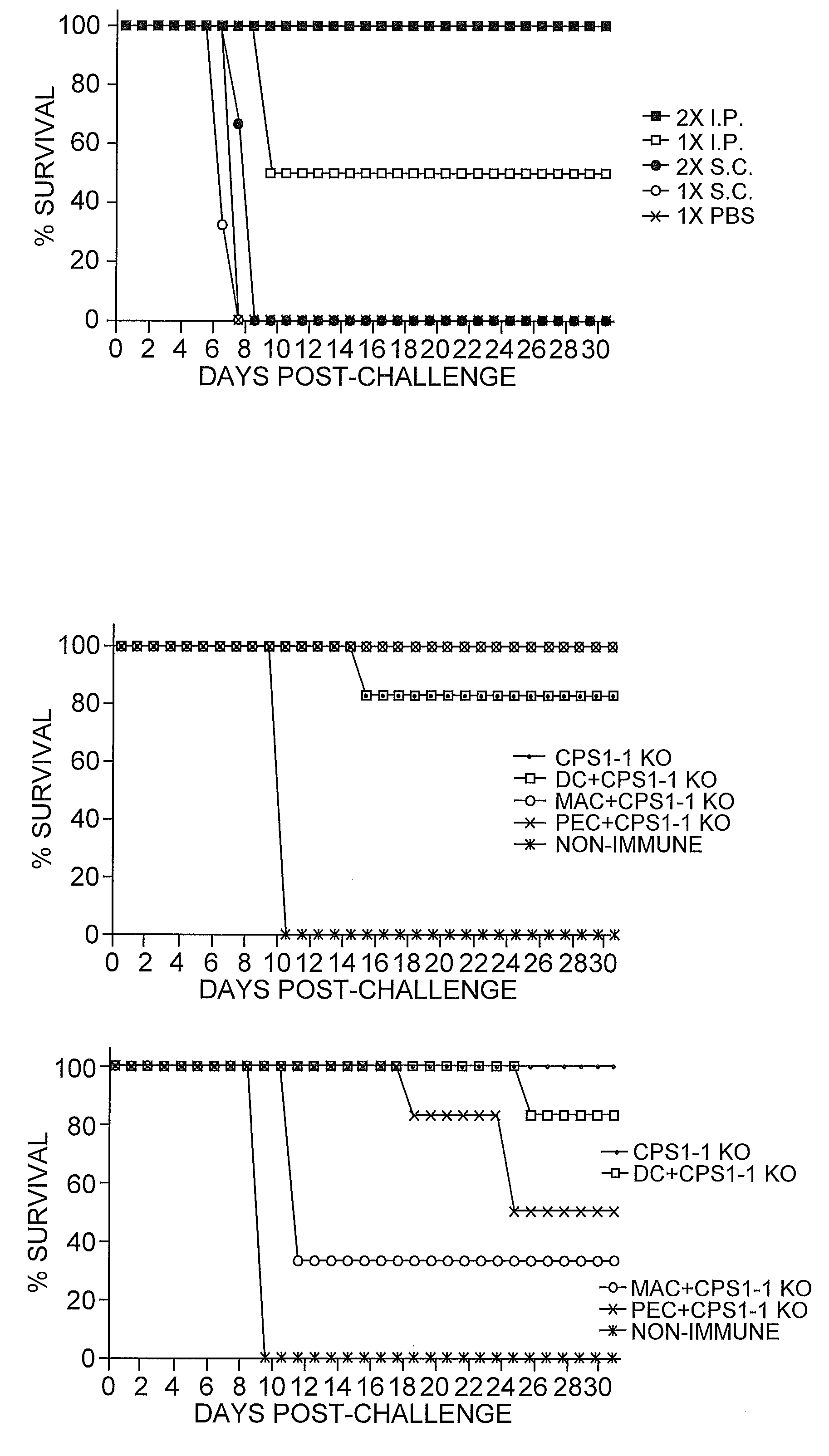 Toxoplasma Gondii Vaccines and Uses Thereof