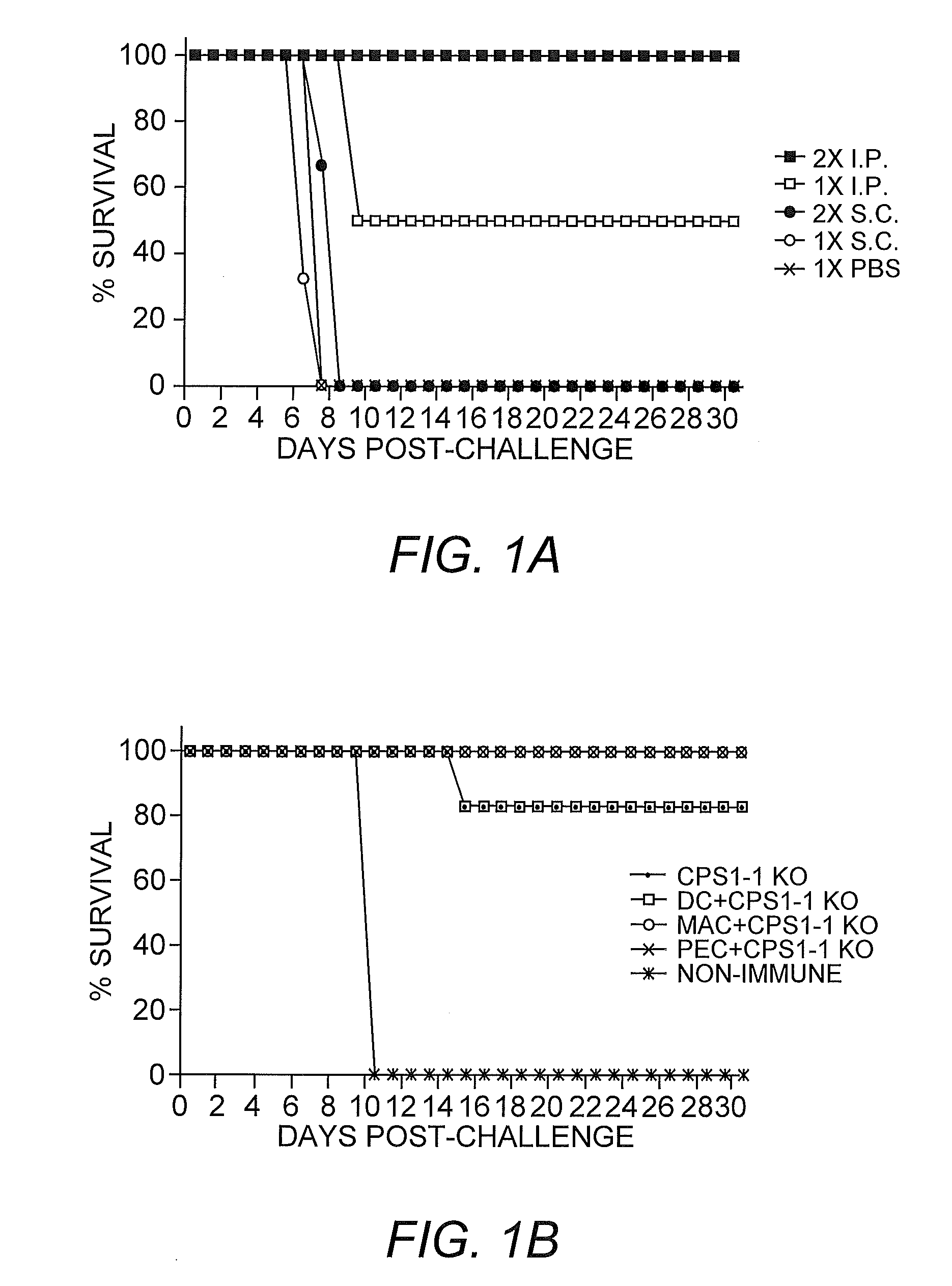 Toxoplasma Gondii Vaccines and Uses Thereof