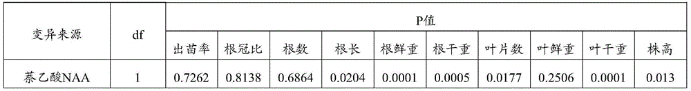 Plant growth regulator composition for ryegrasses