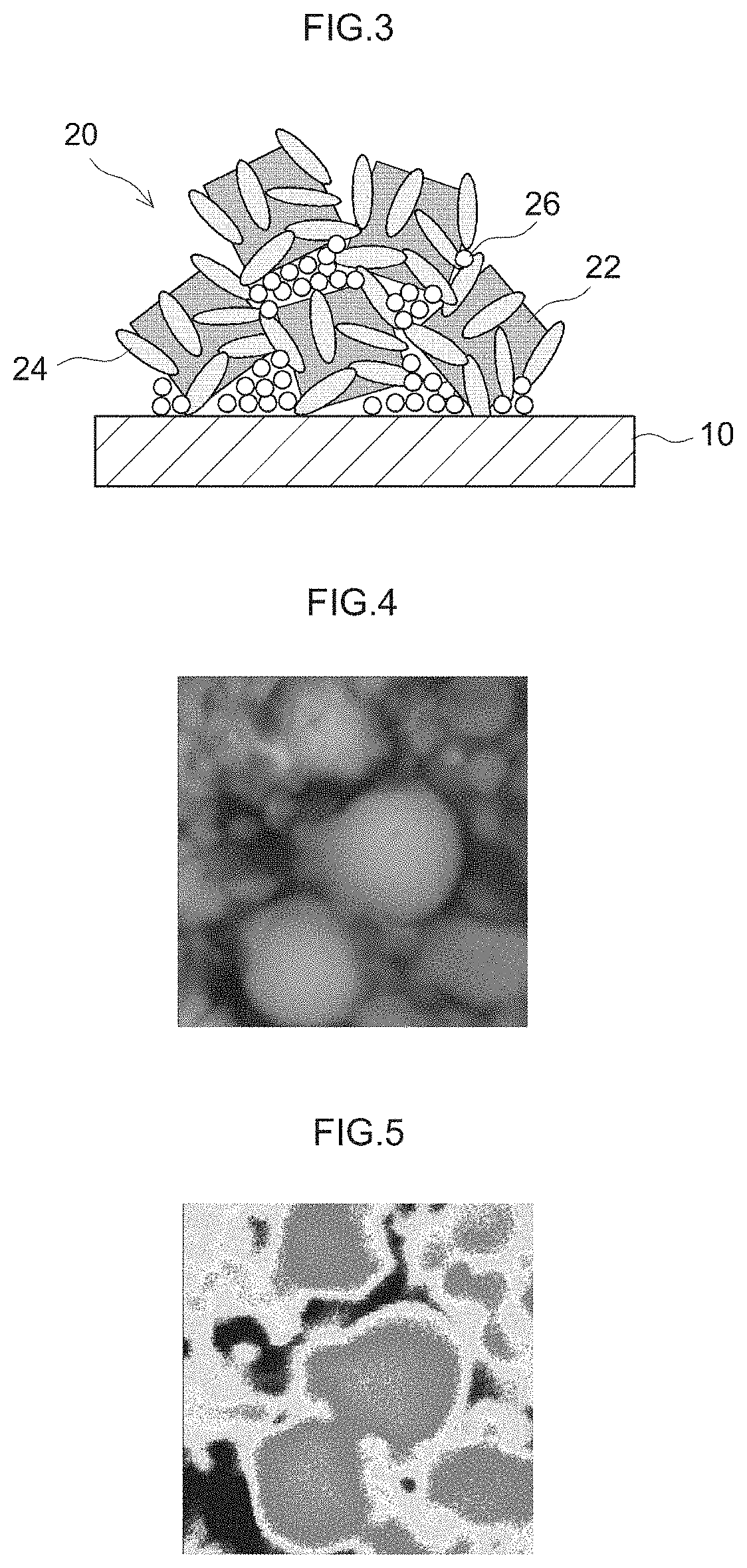 Exhaust gas purifying catalyst