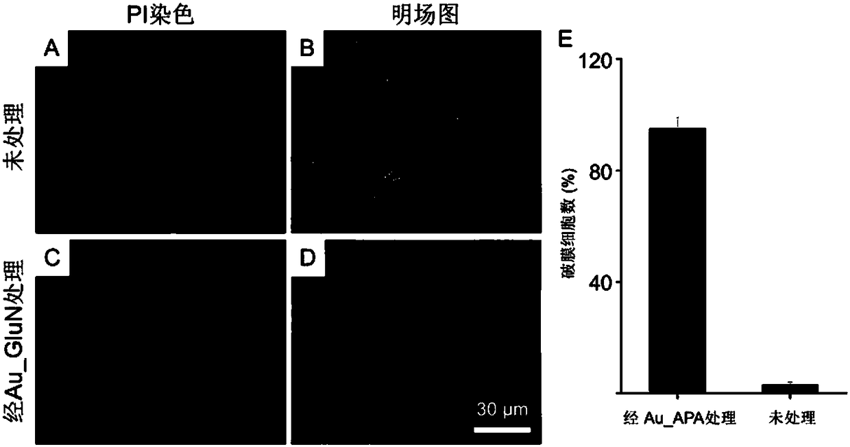 Amino sugar modified antibacterial gold nanoparticle and preparation method thereof, and applications