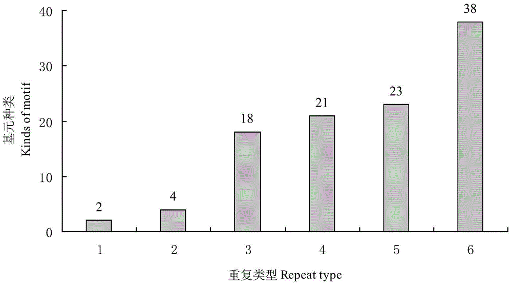 Method for sequencing and development of Asplenium nidus L. EST-SSR primers based on transcriptome