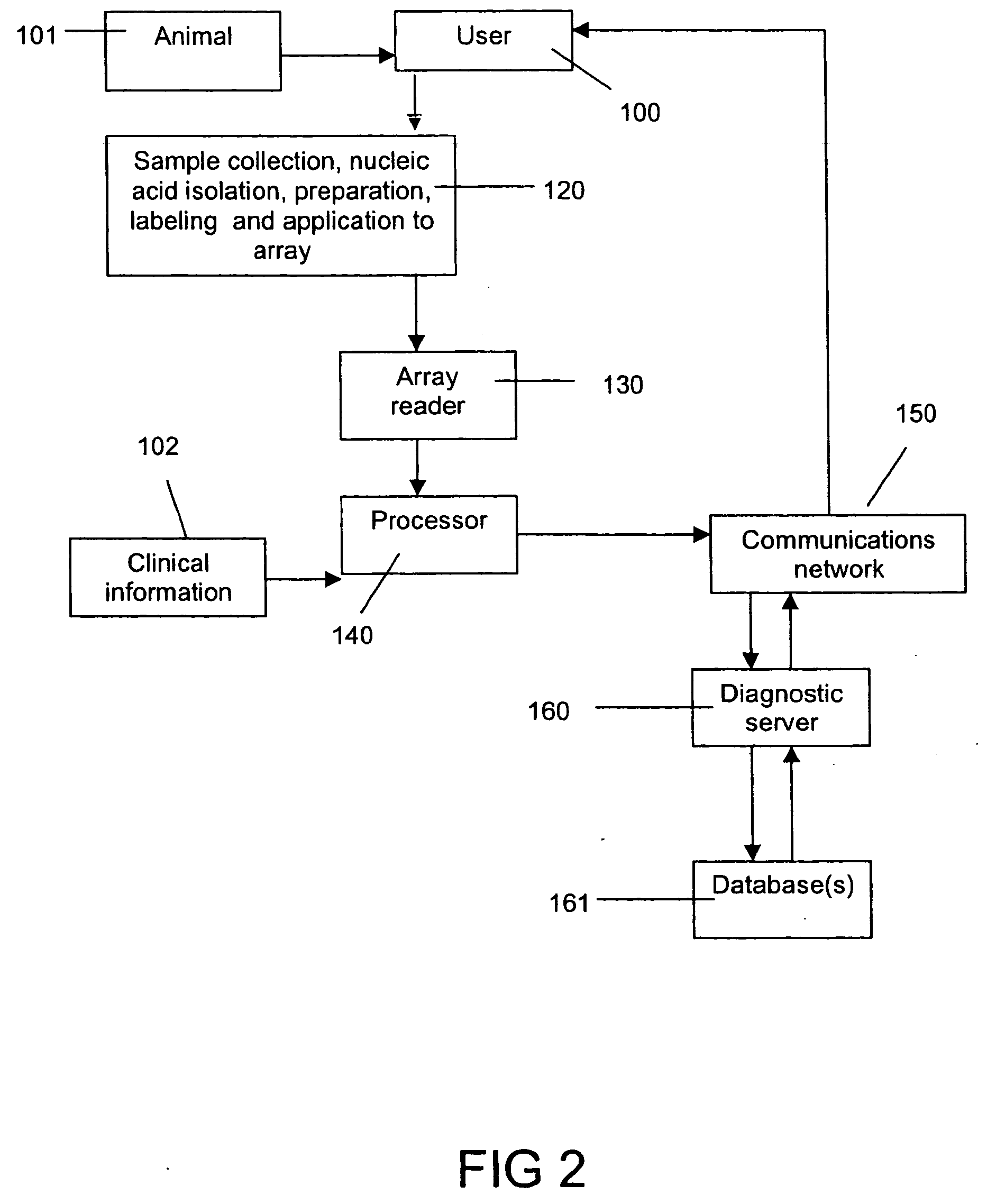 Diagnostic method for assessing a condition of a performance animal