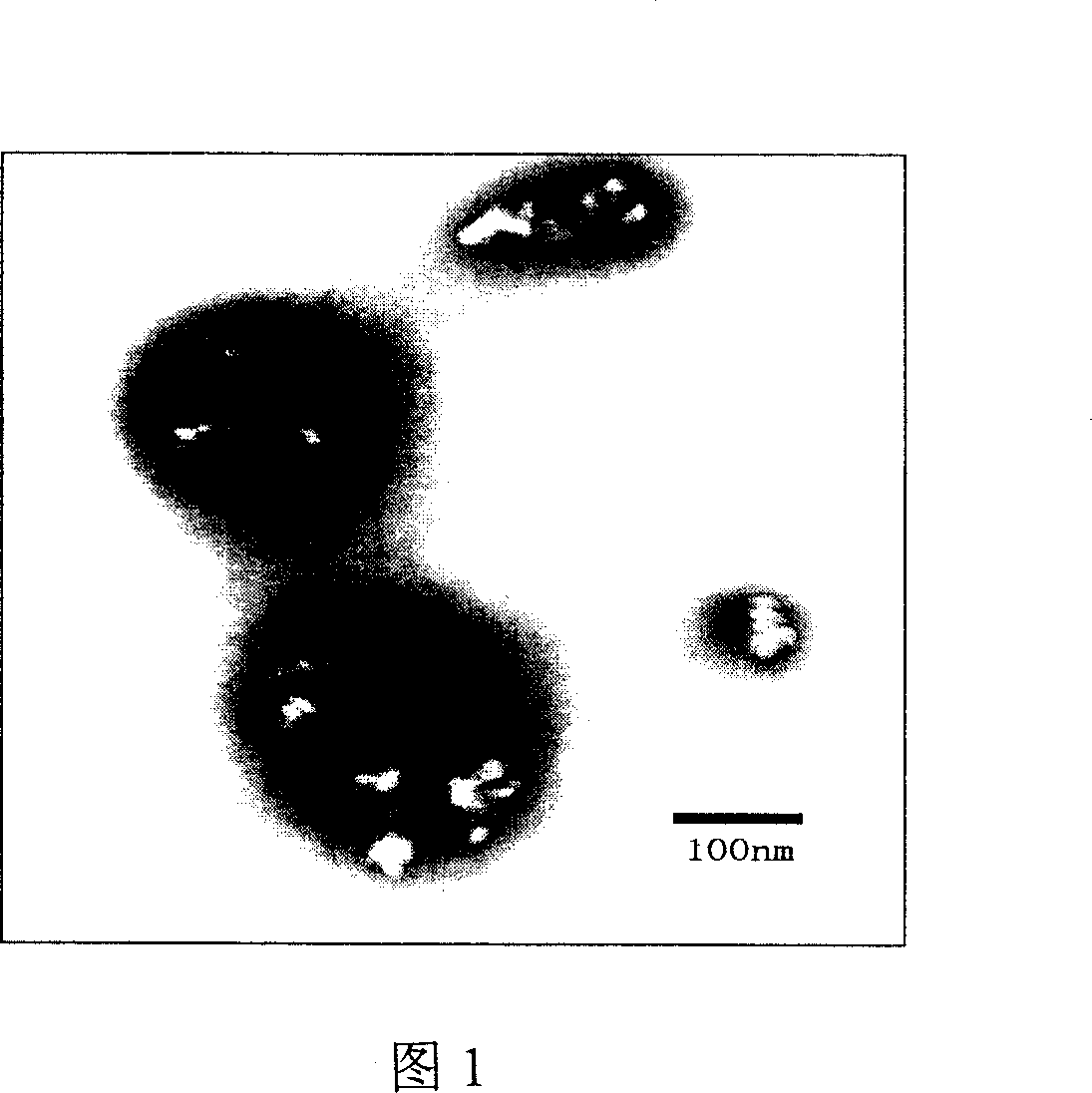 Method for preparing cationic water-based pigment colour paste