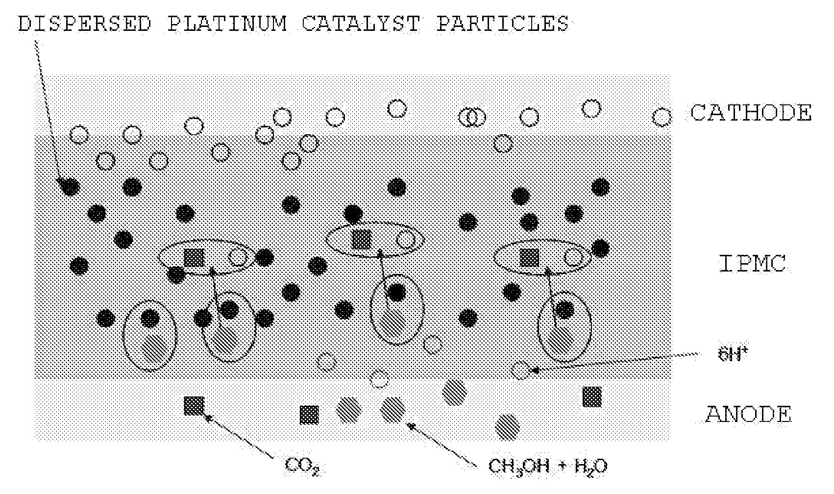 Ionic polymer metal composite electrolyte for fuel cell