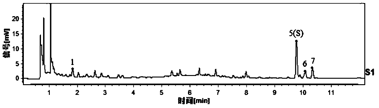 Method for establishing UPLC spectrum of radix achyranthis bidentatae and radix achyranthis bidentatae preparata with wine, and applications