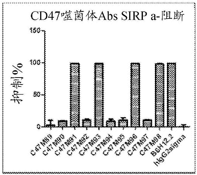 Cd47 antibodies, methods, and uses