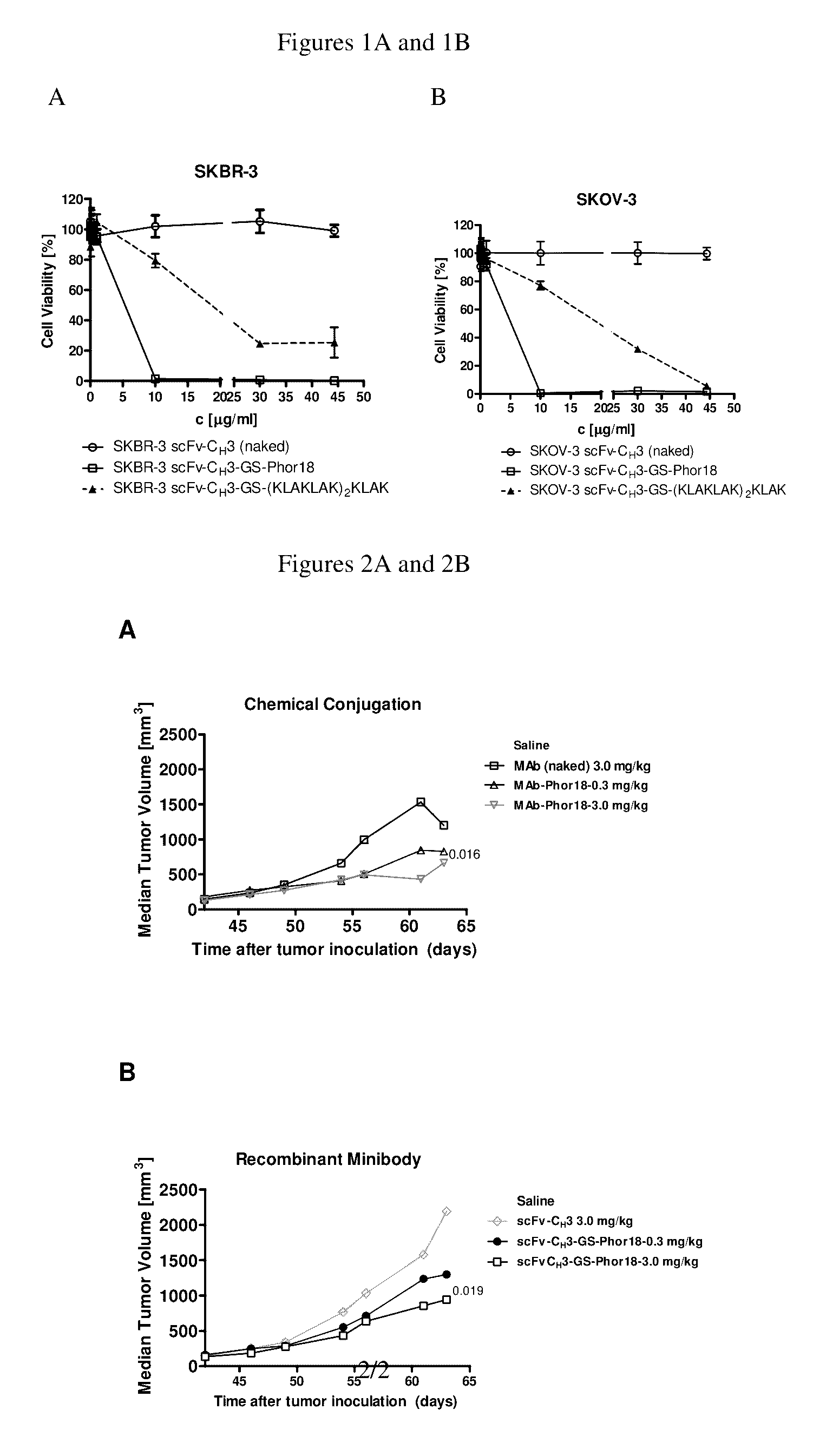 Lytic-peptide-Her2/neu (human epidermal growth factor receptor 2) ligand conjugates and methods of use