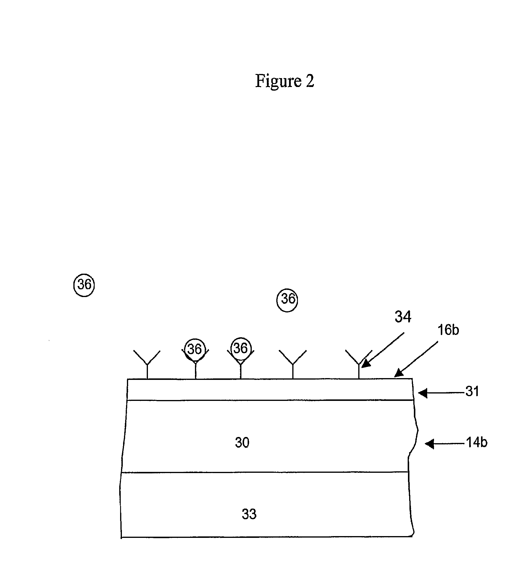 Method and apparatus for enhancing waveguide sensor signal