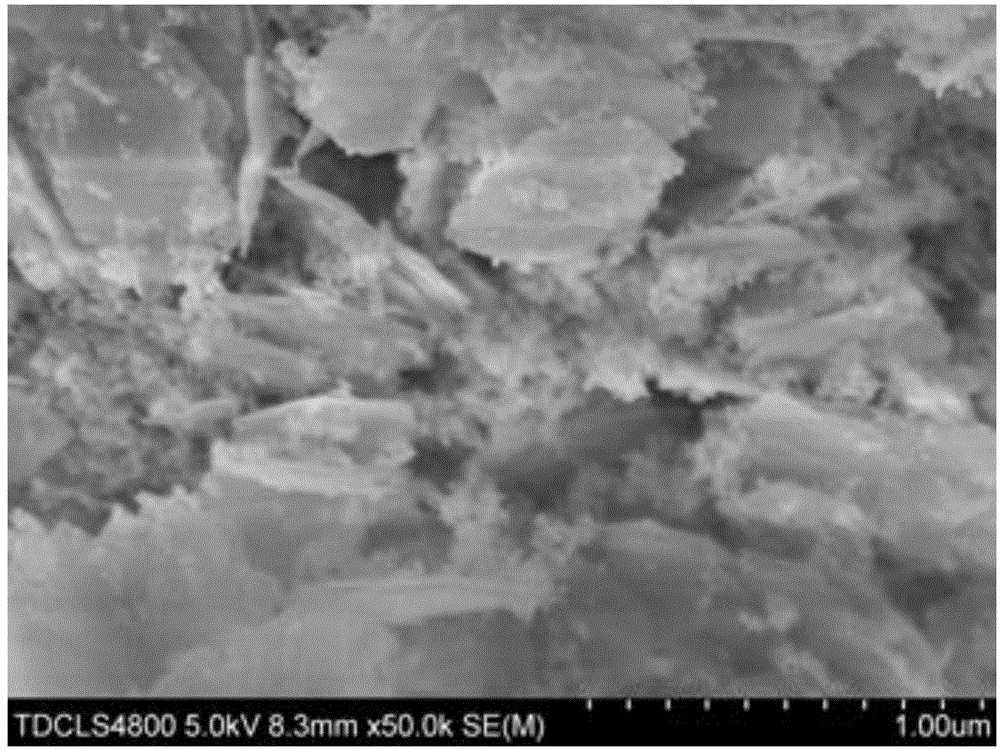 Bismuth telluride nanosheet loaded with cobalt nickel molybdenum particles and synthesis method thereof
