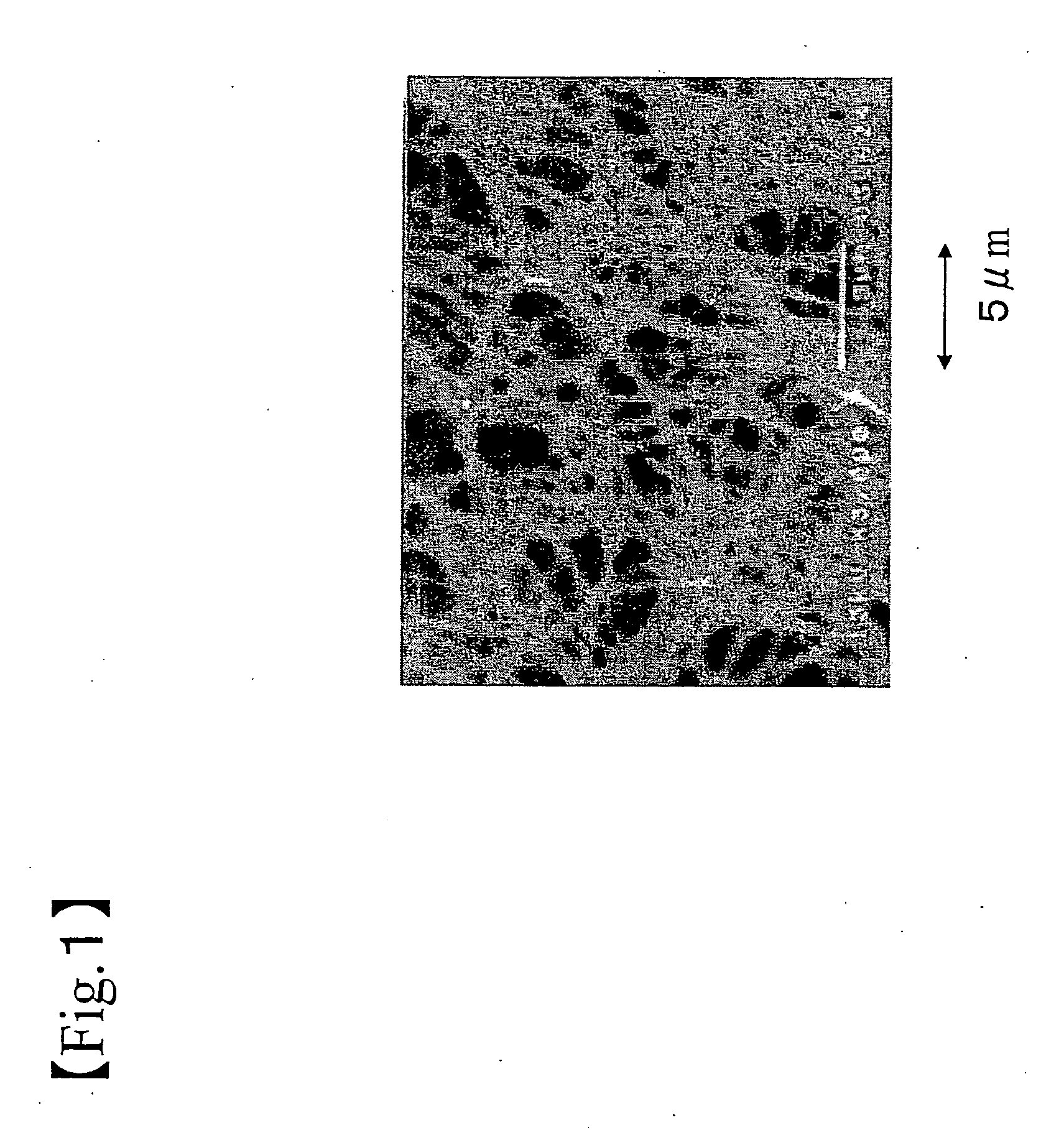 Process for producing spongelike structure