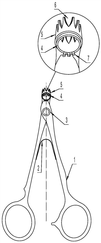 nose hair scissors