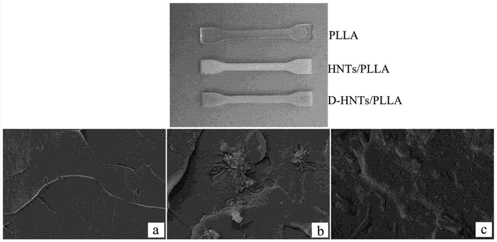 Polydopamine modified halloysite nanotube/polylactic acid composite material and its preparation and application