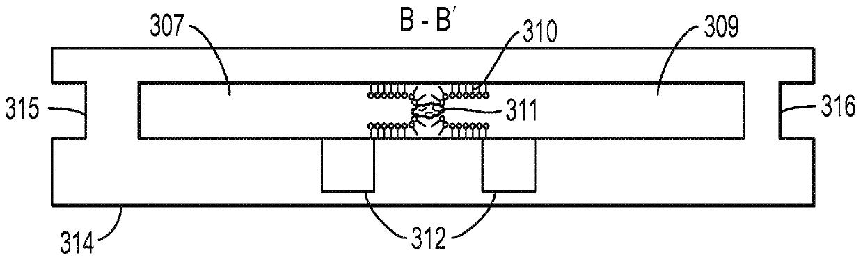 Apparatus and methods for continuous diagnostics of macromolecules