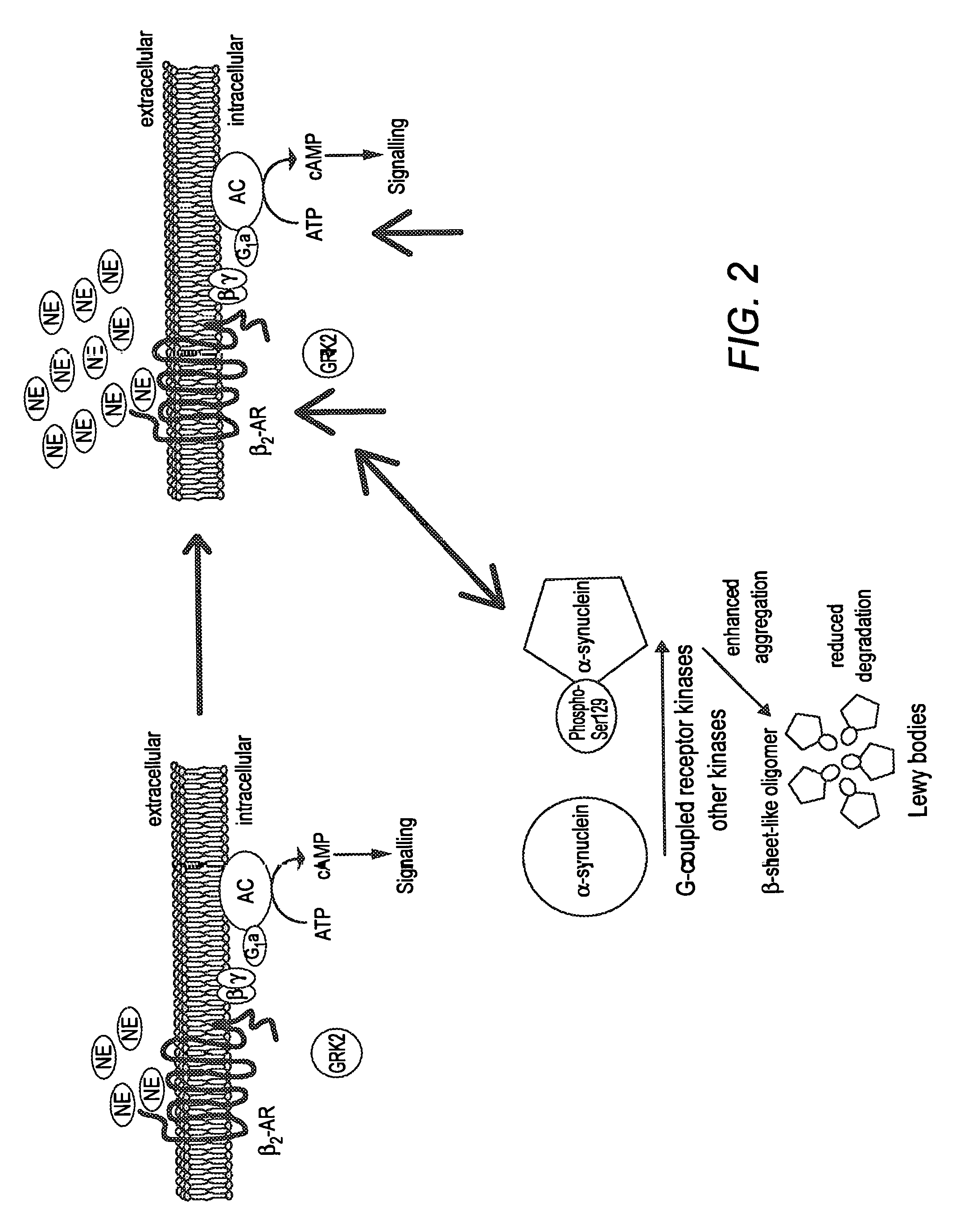 Adrenoceptors antagonists for the prevention and treatment of neurodegenerative conditions