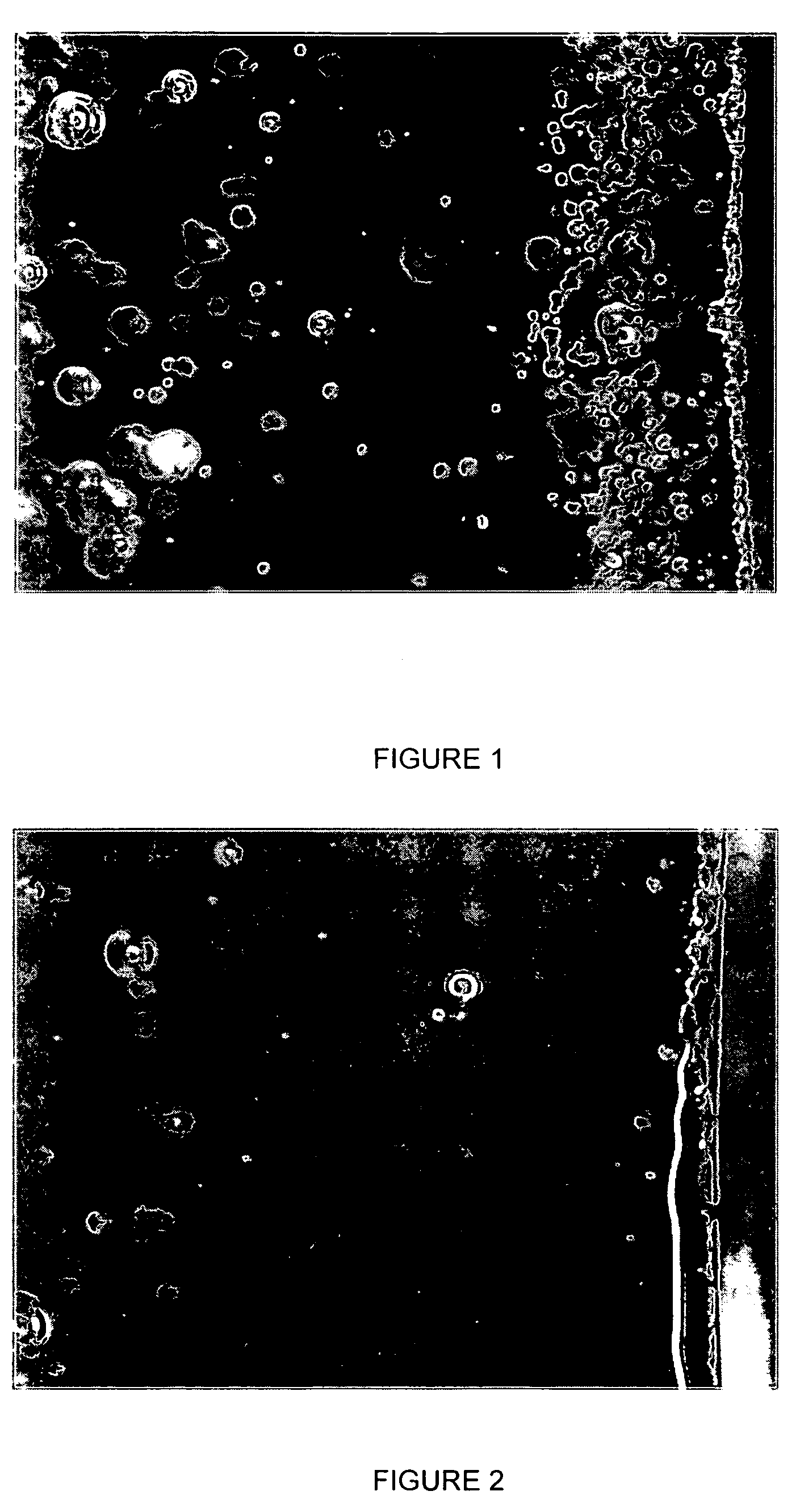 Process for treating synthetic silica powder and synthetic silica powder treated thereof