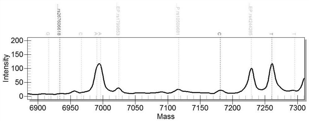 Kit for detecting human lansoprazole sensitive genes