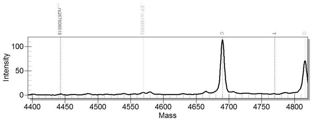 Kit for detecting human lansoprazole sensitive genes