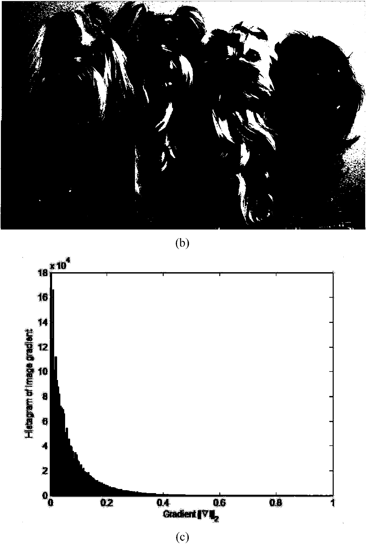 Gradient-related TV factor image denoising and deblurring method based on noise level